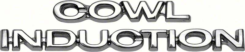 www.onlycorvette.de - EMBLEM COWL INDUCTION
